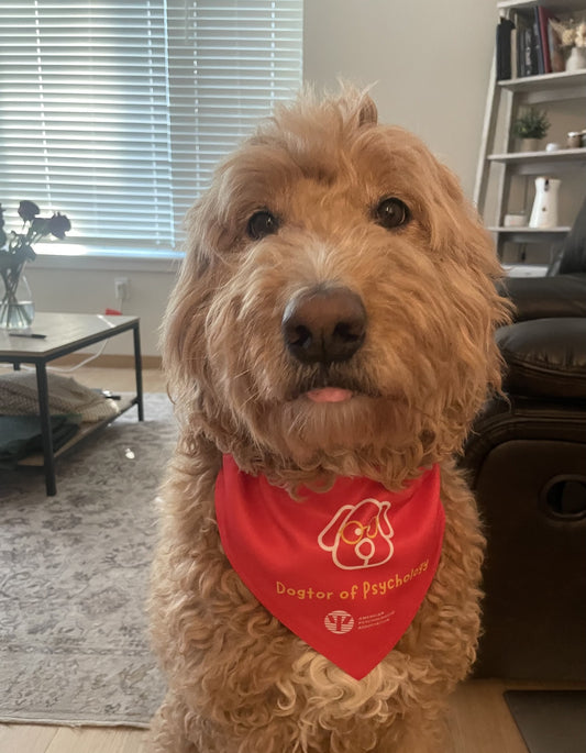 Dog-tor of Psychology Dog Bandana